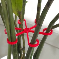 특가생활마켓 식물 지지대 4p 미니식물고정지지대, 블랙