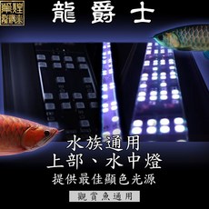 龍爵士水族 燈 現貨 第三代 第四代 增豔誘色 觀賞魚通用 超薄設計 紅龍 金龍 上部燈 側燈 水族燈 安規檢驗合格, 詳見包裝