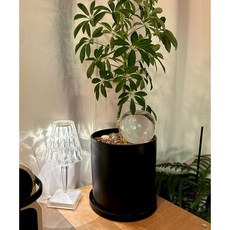 화분 자동급수기 L사이즈 1개, 투명