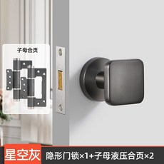 【下殺價】 NTTO隱形門合頁液壓阻尼緩沖 自動 關門 合頁閉門器暗門靜音彈簧合頁B, 灰色子母液壓合頁2片+1把單面鎖, 1個