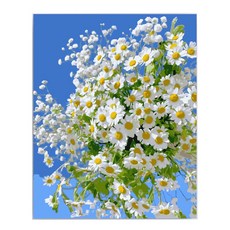 호인트 diy 명화그리기 유화 피포페인팅 컬러링키트 대형 40x50cm, 1개, 002데이지