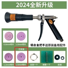 可調大防風(送全套噴片禮包)農用打藥噴槍合金育苗高壓噴霧槍，花園灌溉打藥霧化槍農業園藝打藥器具, 1個