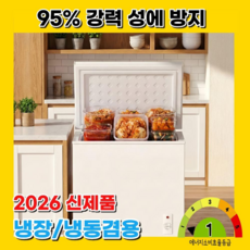 숨온도 일정한 냉기 미니 김치냉장고 1등급 가정용 소형 뚜껑형 1도어, 55L, 화이트