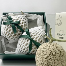 당도좋은 프리미엄 멜론 선물세트, 1박스, 멜론 2수