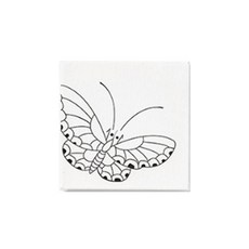 인테리어소품 캔버스 20x20cm 나비 액자