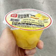 오늘좋은 파인애.플 가득 푸딩젤리, 단품
