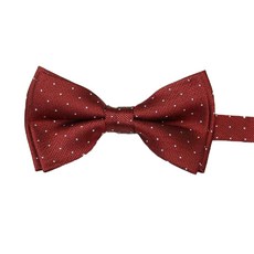 Jay Botai 雙點孩童領結領結