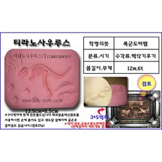 (중)공룡화석몰드10종-선택, 트리케라톱스