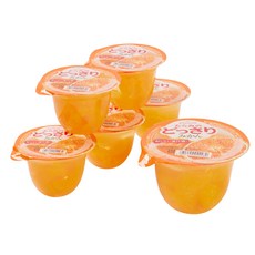 타라미 듬뿍 귤, 230g, 6개