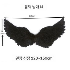천사 led 날개 요정 악마날개 촬영소품 깃털 댄스 의상 장식품 파티용품 홈 생일 파티, 1개, B. 깃털 날개 중간 검정