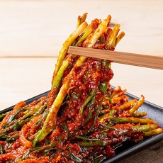 당일제조 국내산 전라도식 파김치 1kg 2kg 3kg, 01. 파김치 1kg