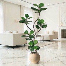 仿真琴葉榕 室內大型植栽 1.8公尺 附花盆, 居家法式復古琴葉榕1.8公尺室內大型仿真植栽（贈送花盆）, 1個
