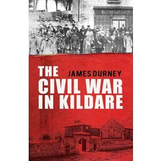 (영문도서) The Civil War in Kildare Paperback, Mercier Press, English, 9781781178232