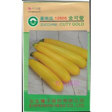 金可愛 夏南瓜種子 12605 HYBRID F1 生長強健 耐白粉病, 1包