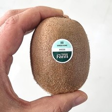 그리스 그린키위 대과 (125g내외), 1개, 대과 2kg (14-16과)