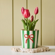 [모던하우스] 스트라이프 리본 화분 그린레드