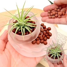 이오난사 화분 만들기 황토볼 유리화분 원예 키우기쉬운 꾸미기 식물 노인 단체 수업, 황토볼 이오난사 유리 화분 만들기