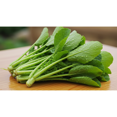 [국산] 아삭하게 잘 자란 열무! 부드러움보다 풍성함, 1박스, 국산 열무 2kg