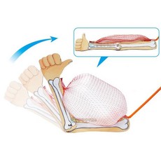 근육 수축 모형 빨대 실험세트 1인용 과학실험 실험키트 사이언스 과학놀이 과학교구, 1개