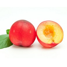 [재구매율1위] 산지직송 과즙폭발 고당도 추희자두, 1박스, 4kg (중소과)