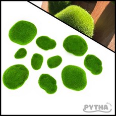 가짜 이끼모형 돌 세트 10입 수족관용품, 1개