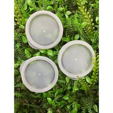 塑膠杯蓋 《特賣出清》 5個1元, 1個