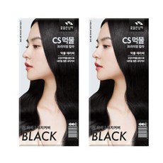 꽃을든남자 간편하게 나눠쓰는 CS헤어칼라 염모제 4회분, N1 흑색, 2개