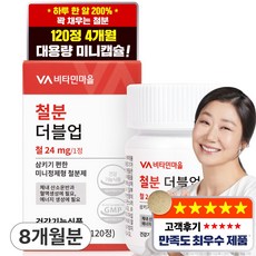 비타민마을 철분 더블업 미니 정제형 철분제, 120정, 2개