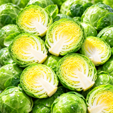 제주 방울양배추 산지직송 프리미엄 신선채소, 1박스, 3kg