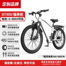 GT900 電動登山車 21段變速 400W電機, 【GT300北極白】輻條輪10AH, 1個
