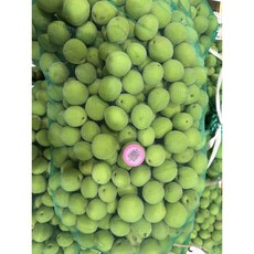 청매실 단단 새콤 1호 사이즈, 1박스, 10kg