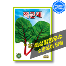 적근대 씨앗 200립 근대 붉은색 발현 우수, 1개