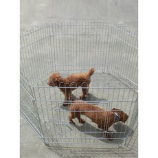반려동물 철망 울타리 접이식 조각 스텐 높이 메쉬, A. 도금, A. 너비 62높이 62cm6 조각