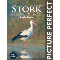 (영문도서)Stork: Picture Perfect Photo Book Paperback, Independently Published, English, 9798288451379