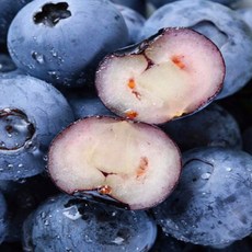 국내산 / 생 블루베리, 1개, 생 블루베리 중과 100g x 2팩