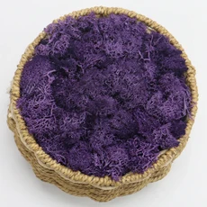 인조이끼 인조 식물 영원한 생명 이끼/정원 홈 인테리어 벽 DIY 꽃 재료 미니 가든 마이크로 조경 액세서리, 10g, 11 K1, 1개