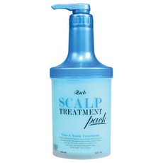 자브 스켈프 트리트먼트팩 헤어트리트먼트, 1000ml, 1개
