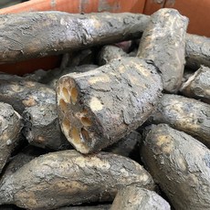 국내산 밀양 햇 생 연근, 1개, 5kg(중품)