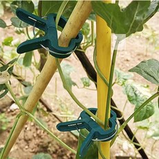 펀코 식물 고정집게 10개 화초 줄기 토마토 지주 지지대 고추, 대