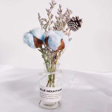 乾燥花玻璃瓶套組 木棉花 兔尾草 乾花瓶 玻璃瓶 居家裝飾 拍照花束 桌面擺飾, 透明花瓶