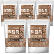 건강중심 브라운 렌틸콩 렌즈콩, 5개, 2kg