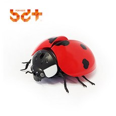 반디 무당벌레 RC 무선조종벌레 무당벌레로봇