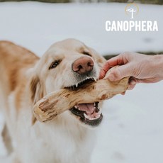 CANOPHERA 德國咖啡木咬咬棒 狗用磨牙棒 耐咬啃咬玩具 潔牙棒, 1個, M,單支