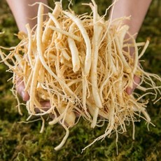 국내산 세척 뿌리삼, 500g, 1개