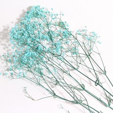 화연양화 프리저브드플라워 안개꽃 8색 시들지않는생화 디퓨저꽃, 06 민트