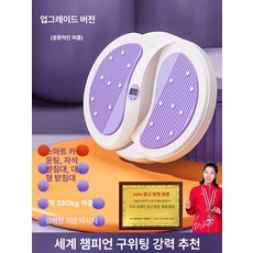 올원픽 허리돌리기운동기구 회전 공원 실내 가정용, 1개, 드림퍼플 A