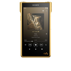 소니 워크맨 256GB, COLOR GOLD, NW-WM1ZM2