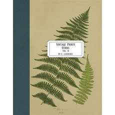 (영문도서) Vintage Prints: Ferns: Vol. 9 Paperback, Createspace Independent Pub..., English, 9781722124236