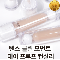 [5 color] a++ 초밀착 커버 텐스 클린 모먼트 데이프루프 컨실러 갈라짐 끼임없는 clean 메이크업 모공 결 커버 워터프루프 파데프리 concealer, 1개, 1.0 Peach Beige, 4.5g