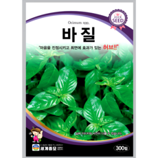 세계종묘 바질 300립 라임 식용꽃 허브 꽃씨 씨앗 종자 세계, 1개